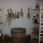 Margó Panzió Vértessomló - Környék