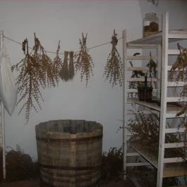 Margó Panzió Vértessomló - Környék