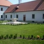 Margó Panzió Vértessomló - Medence/kert