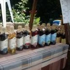 Margó Panzió Vértessomló - Környék