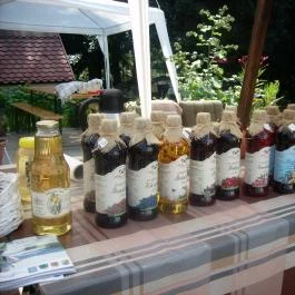 Margó Panzió Vértessomló - Környék