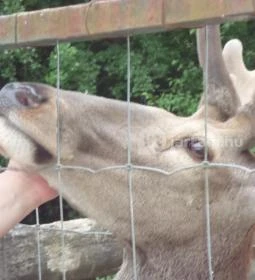 Ménes Vendégház (Ökopark Bükkösd)