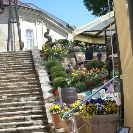 Remete-Pince Étterem, Vác - Külső kép