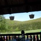 Szent Orbán Erdei Wellness Hotel Kóspallag - Medence/kert