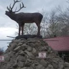 Szigethalmi Családi Vadaspark Szigethalom - Egyéb