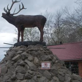 Szigethalmi Családi Vadaspark Szigethalom - Egyéb