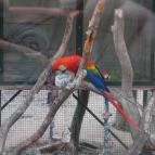 Szigethalmi Családi Vadaspark Szigethalom - Egyéb