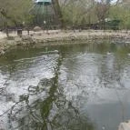 Szigethalmi Családi Vadaspark Szigethalom - Egyéb