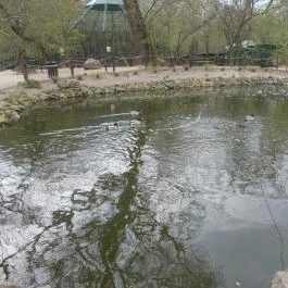 Szigethalmi Családi Vadaspark Szigethalom - Egyéb