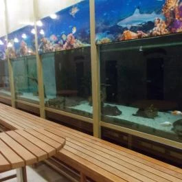 Wellness Hotel Szindbád Balatonszemes - Egyéb