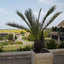 Takler Kúria Szekszárd - Egyéb