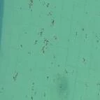 Gunaras Resort Spa Hotel Dombóvár - Egyéb