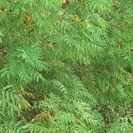 Panoráma Hotel Noszvaj, Noszvaj - Egyéb