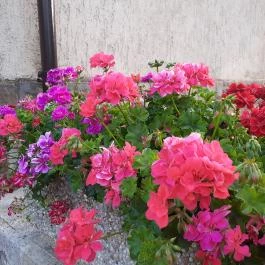 Panoráma Hotel Noszvaj, Noszvaj - Egyéb