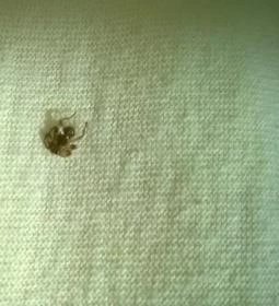 Erdész-tó Vendégház 