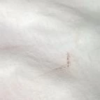 Erdész-tó Vendégház Ravazd - Belső