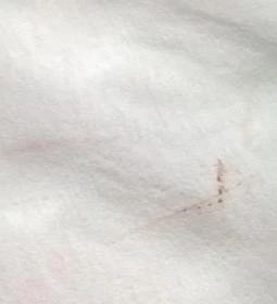 Erdész-tó Vendégház 