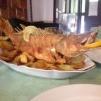 Kancsal Harcsa Halászcsárda Tiszatelek - Étel/ital