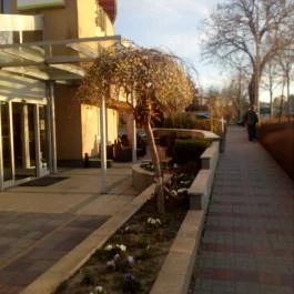 CE Plaza Hotel, Siófok - Környék