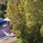 Colosseum Wellness Hotel Mórahalom - Medence/kert