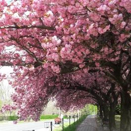 Hotel Karos Spa Zalakaros - Környék