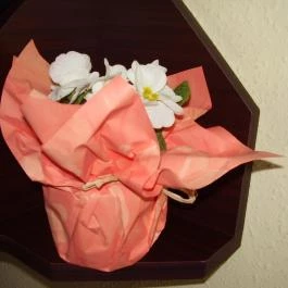 Hotel Gara Gyógy- és Wellness Szálloda, Füzesgyarmat - Egyéb