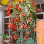 Admirális Panzió Hajdúszoboszló - Külső kép