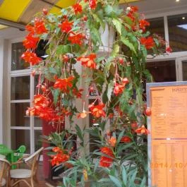 Admirális Panzió, Hajdúszoboszló - Külső kép