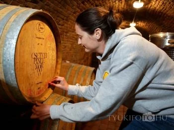 Csetvei Pincészet Mór