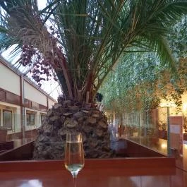 Belenus Thermalhotel Superior Zalakaros - Egyéb