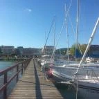 Flamingó Wellness & Konferencia Hotel Balatonfüred - Környék