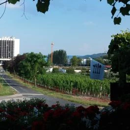 Baricska Csárda Balatonfüred - Külső kép