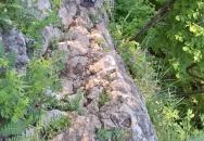 Tárkány Ferrata Felsőtárkány