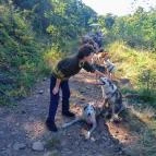 Kutyafogat túra Mátrafüred - Egyéb