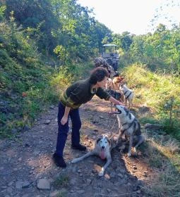 400. legjobb látnivaló: Kutyafogat túra