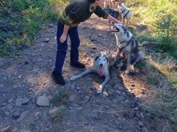 Kutyafogat túra Mátrafüred