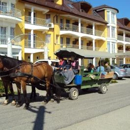 Venus Hotel Zalakaros - Külső kép