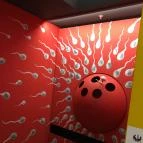 Csodák Palotája Budapest - 