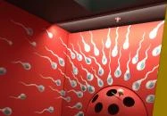 Csodák Palotája Budapest Csodák Palotája Budapest