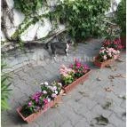 Tiffán's Panzió Villány - Környék