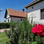 Tündérgyöngye Apartmanház Zirc - Egyéb