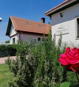 Tündérgyöngye Apartmanház