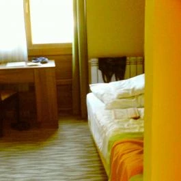 Park Hotel Gyula Gyula - Szobák