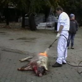 Hajnal Hotel, Mezőkövesd - Környék