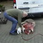 Hajnal Hotel Mezőkövesd - Környék