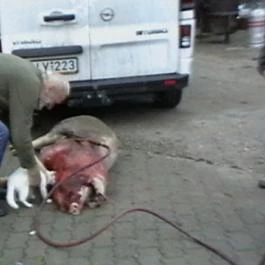 Hajnal Hotel, Mezőkövesd - Környék