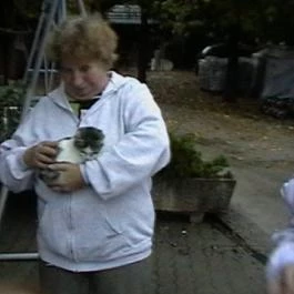 Hajnal Hotel, Mezőkövesd - Egyéb