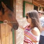 Hotel Kapitány Superior Wellness Sümeg - Környék