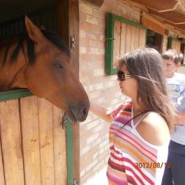 Hotel Kapitány Superior Wellness Sümeg - Környék