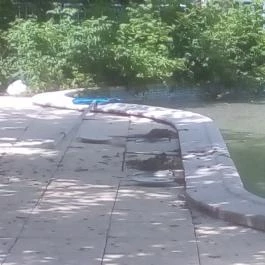 Tornácos Panzió, Balatonberény - Egyéb